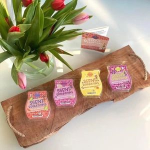 Scentsy Go, Go, Mango Scent-Spirations Collection (New)